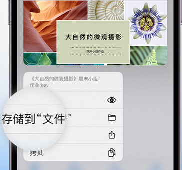 宁德apple维修中心分享iPhone文件应用中存储和找到下载文件