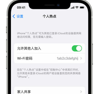 宁德apple服务站点分享iPhone上个人热点丢失了怎么办