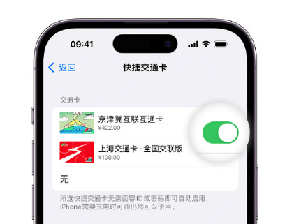 宁德apple维修点分享iPhone上更换Apple Pay快捷交通卡手绘卡面 