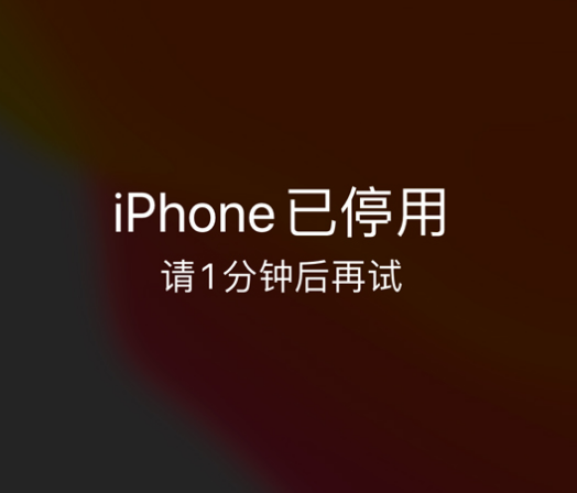 宁德苹果手机维修分享:iPhone 显示“不可用”或“已停用”怎么办？还能保留数据吗？ 