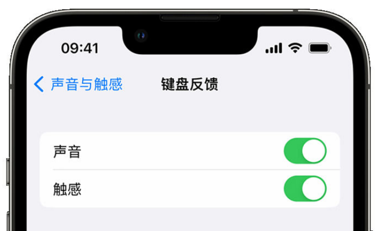 宁德苹果手机维修分享iPhone 14触感键盘使用方法 