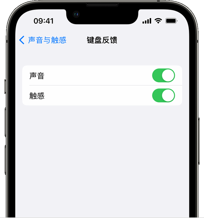 宁德苹果14维修店分享如何在 iPhone 14 机型中使用触感键盘 