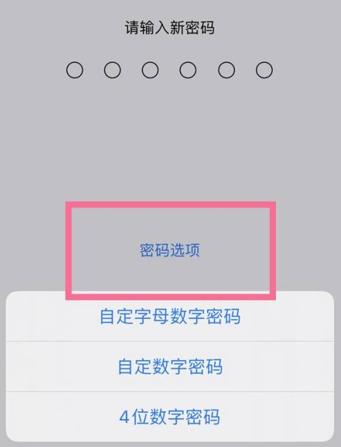 宁德苹果14维修分享iPhone 14plus设置密码的方法 