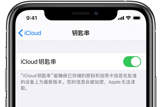 宁德苹果手机维修分享在 iPhone 上开启 iCloud 钥匙串之后会储存哪些信息 