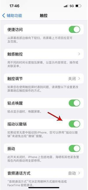 宁德苹果手机维修分享iPhone手机如何设置摇一摇删除文字 