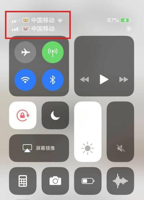 宁德苹果手机维修分享为 iPhone 12 双卡设置标签 