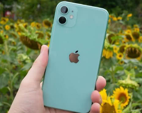 宁德苹果维修点分享iPhone 11锁屏密码认知与使用科普 